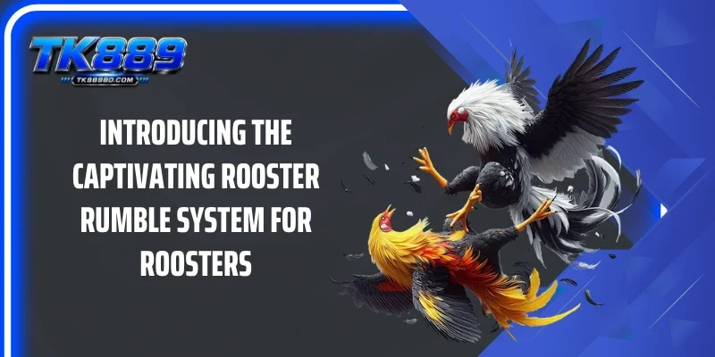Introducing the captivating Rooster Rumble system for roosters