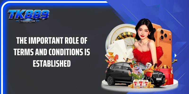 The important role of Terms and Conditions is established