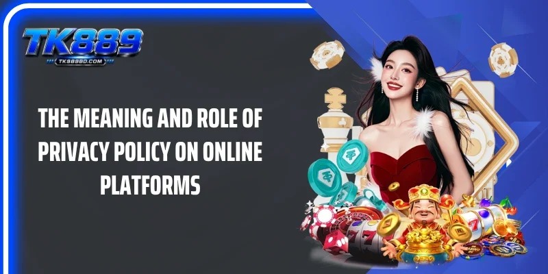 The meaning and role of Privacy Policy on online platforms